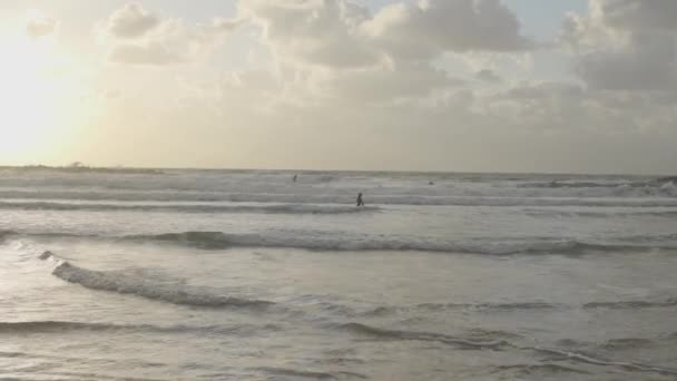 Surfeur Dans Les Eaux Hivernales Israël — Video