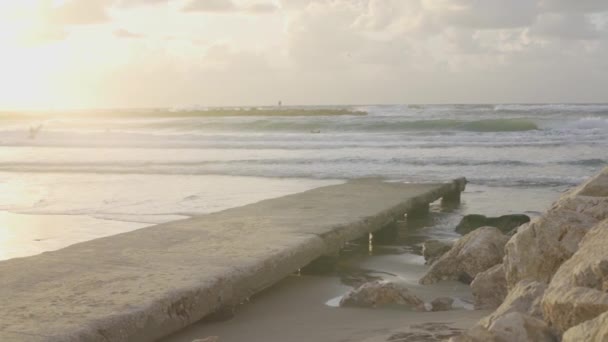 Sonnenuntergang Strand Von Tel Aviv Mit Surfern Hintergrund — Stockvideo