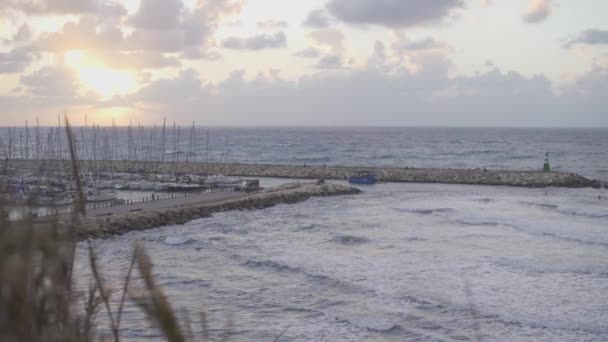 Човни Тель Авіві Марина Під Час Заходу Сонця — стокове відео