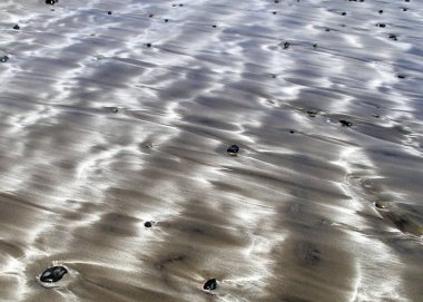 Siyah düz taşlar bir desen ile ıslak plaj görüntü San