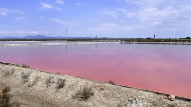 Bir köprü ve mavi gökyüzü tuz bir serum mor köpüklü su içinde lak yansıtılır