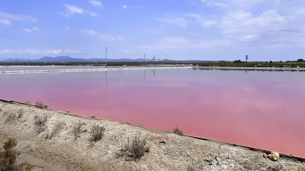 Bir köprü ve mavi gökyüzü tuz bir serum mor köpüklü su içinde lak yansıtılır