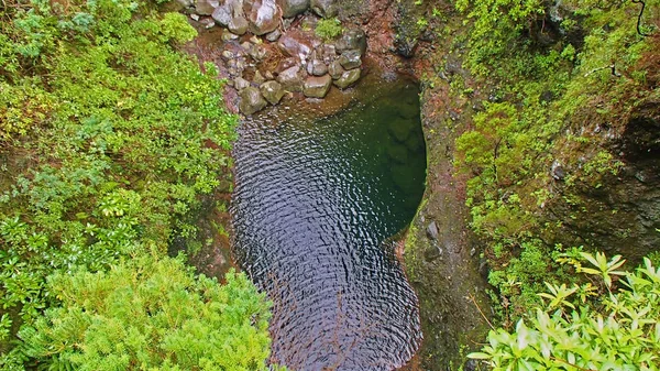 Pond Green Forest Levada Route Hiking Area Portuguese Island Madeir — Stock Photo, Image