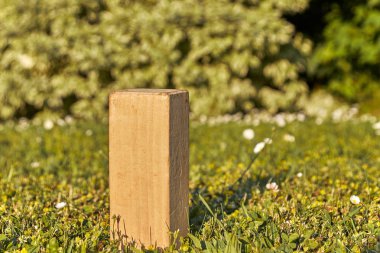 İsveç Viking oyun Kubb ahşap bir taştan da bir yeşil çayır üzerinde güneşte yalnız kalır