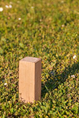 İsveçli Viking oyun Kubb ahşap bir taştan bir yeşil çayır üzerinde güneşin duruyor