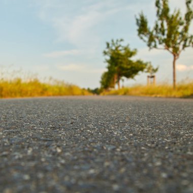 Bir yol ya da yol ağaçları ve edg alanları ile çok düşük bir perspektiften yerden görüntüleyin