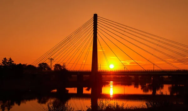 在拉德博伊尔附近的河畔的一座钢电缆桥 靠近撒克逊城市德累斯顿的日出 — 图库照片