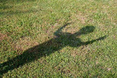 çimenlerde bir çocuğun gölgesi