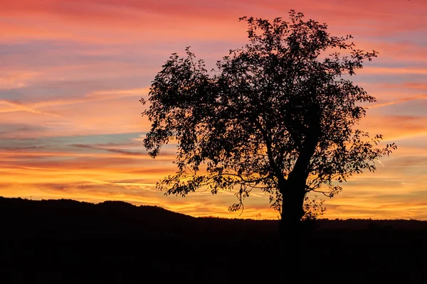 Feuriger Himmel und schwarze Silhouette — Stockfoto