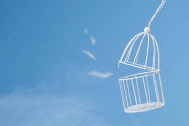 Beyazlara dışında kuş kafesi mavi gökyüzü ile bulut arka plan, Özgürlük kavramı fikir üzerinde yüzen.