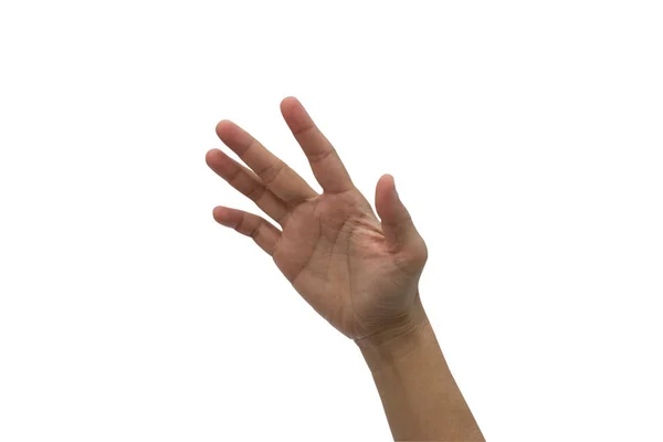 One Hand Raised High Isolated White Background — Stock Photo, Image