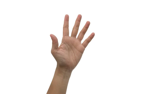 One Hand Raised High Isolated White Background — Stock Photo, Image