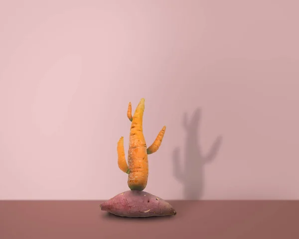 Творчість моркви і картоплі, як кактус на рожевому фоні — стокове фото