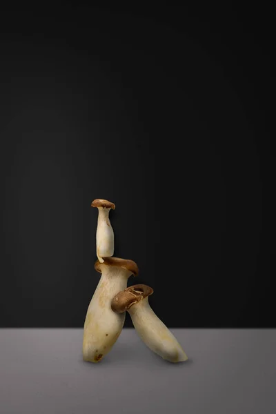 Творчість гриба на чорному фоні — стокове фото