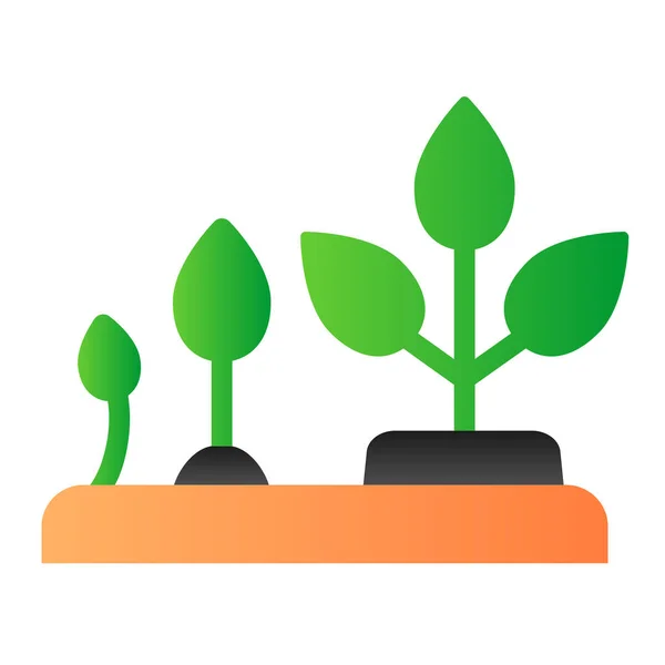 Growth of plant flat icon. Nature color icons in trendy flat style. Sprout development gradient style design, designed for web and app. Eps 10. — Stock Vector