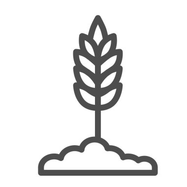 Buğday çizgisi simgesi, organik konsept, beyaz arka planda Spica işareti, mobil konsept ve web tasarımı için buğday kulağı simgesi. Vektör grafikleri.