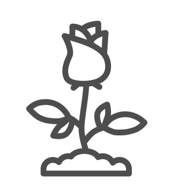 Gül çizgisi ikonu, çiçek kavramı, beyaz arka planda yapraklar olan gül çiçeği, mobil konsept ve web tasarımı için ana hatlı gül ikonu. Vektör grafikleri.