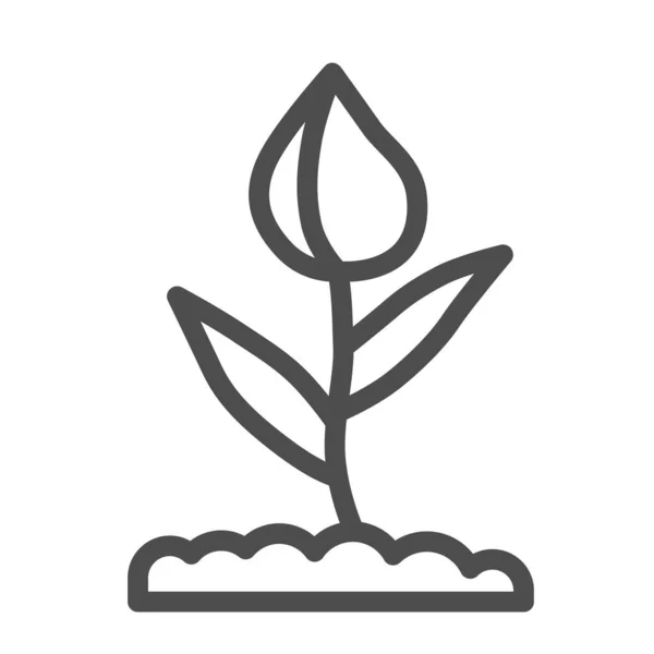 Blomknopp linje ikon, blommigt koncept, stängd tulpan knopp med blad tecken på vit bakgrund, vår blomma blomma ikon i kontur stil för mobila koncept och webbdesign. Vektorgrafik. — Stock vektor