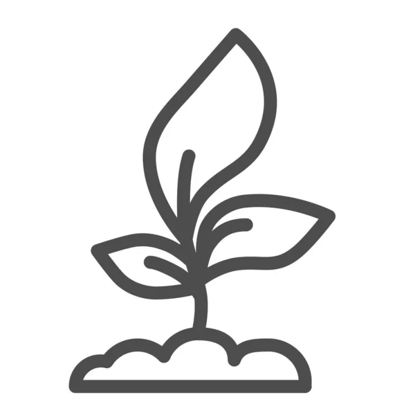 Unga plantor med tre blad linje ikon, jordbruk koncept, groddar symbol på vit bakgrund, växande växt ikon i kontur stil för mobila koncept och webbdesign. Vektorgrafik. — Stock vektor