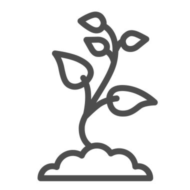 Birçok yaprak çizgisi ikonu, doğa konsepti, beyaz arka planda filizlenen tohumlar, mobil konsept ve web tasarımı için ana hatlar şeklinde toprak ikonu. Vektör grafikleri.