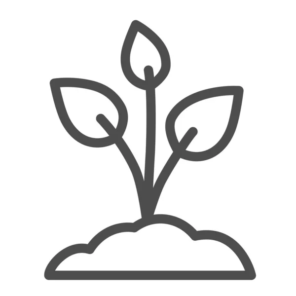 Sapling con tres hojas icono de la línea, concepto de la naturaleza, brote plantado en el signo del suelo sobre fondo blanco, icono de la planta joven en el estilo de esquema para el concepto móvil y el diseño web. Gráficos vectoriales . — Vector de stock