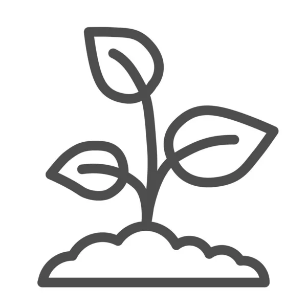 Crecimiento joven con tres hojas icono de línea, concepto de la naturaleza, Sprout símbolo sobre fondo blanco, icono de la planta creciente en el estilo de esquema para el concepto móvil y el diseño web. Gráficos vectoriales . — Vector de stock