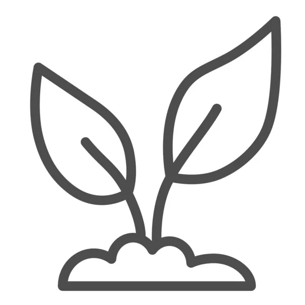 Plantor i en marklinje ikon, ekologi koncept, liten grodd med två blad symbol på vit bakgrund, planta ikon i kontur stil för mobila koncept och webbdesign. Vektorgrafik. — Stock vektor