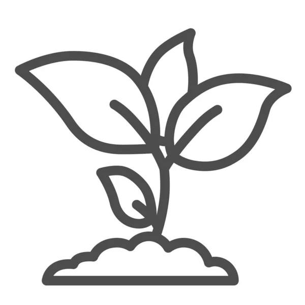 Växtgroddar linje ikon, jordbruk koncept, Ung tillväxt med blad tecken på vit bakgrund, planta ikon i kontur stil för mobila koncept och webbdesign. Vektorgrafik. — Stock vektor
