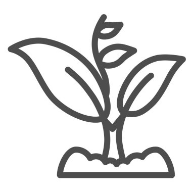 Filizler birçok yaprak çizgisi ikonu, bahçıvanlık konsepti, beyaz arka planda filizlenme sembolü, mobil konsept ve web tasarımı için ana hatlı bitki ikonu olarak büyür. Vektör grafikleri.