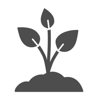 Üç yapraklı fidan, katı ikon, doğa konsepti, beyaz arka planda toprak tabelasında filizlenen, mobil konsept ve web tasarımı için glyph stili genç bitki ikonu. Vektör grafikleri.