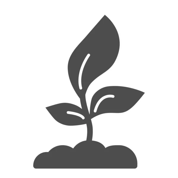 Unga plantor med tre blad solid ikon, Jordbrukskoncept, Grodsymbol på vit bakgrund, växande växt ikon i glyf stil för mobila koncept och webbdesign. Vektorgrafik. — Stock vektor