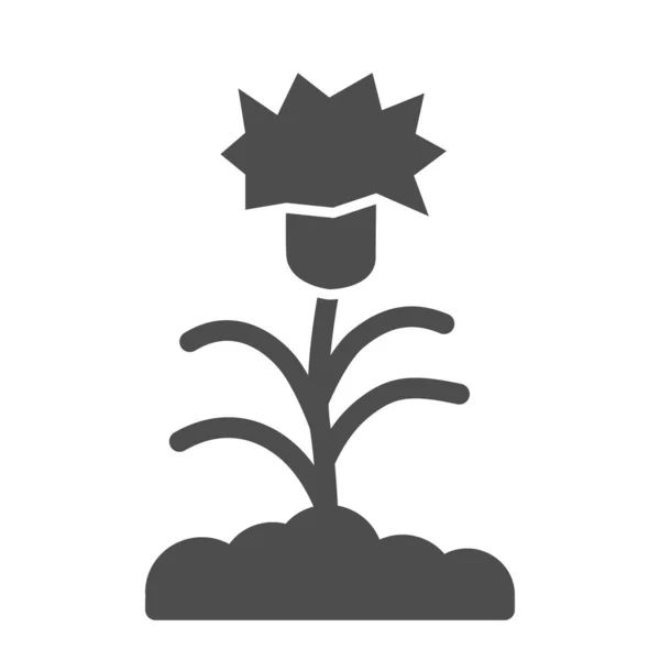 Icono sólido de clavel, concepto floral, silueta de clavel con hojas y tallos signo sobre fondo blanco, icono de flor en estilo glifo para concepto móvil y diseño web. Gráficos vectoriales . — Vector de stock