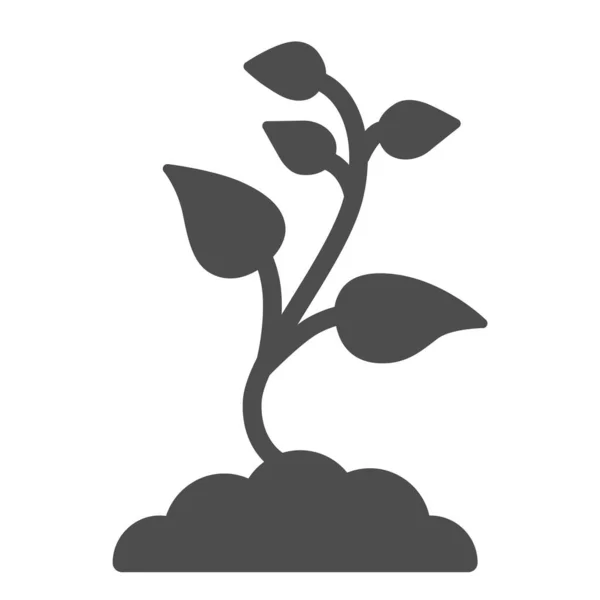 多くの葉の固体アイコン、自然コンセプトを持つ苗は、白い背景に地上標識で発芽し、モバイルコンセプトとウェブデザインのためのグリフスタイルで土壌アイコンに芽生えます。ベクトルグラフィックス. — ストックベクタ