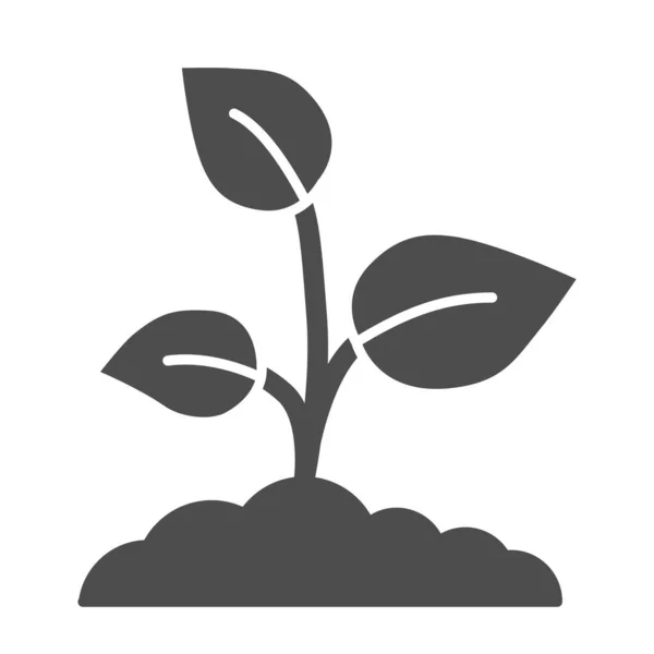 Ung tillväxt med tre blad fast ikon, natur koncept, groddar symbol på vit bakgrund, växande växt ikon i glyf stil för mobila koncept och webbdesign. Vektorgrafik. — Stock vektor
