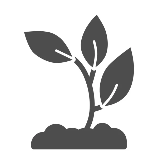 Plantor i jord fast ikon, natur koncept, Groddar tillväxt i marken tecken på vit bakgrund, ung tillväxt ikon i glyf stil för mobila koncept och webbdesign. Vektorgrafik. — Stock vektor