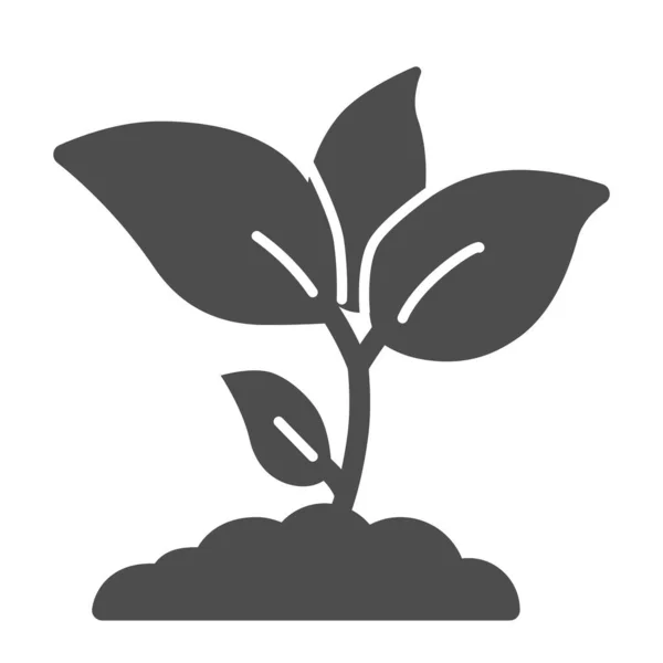Brotes de plantas icono sólido, concepto de agricultura, crecimiento joven con letrero de hojas sobre fondo blanco, icono de plántulas en estilo glifo para el concepto móvil y el diseño web. Gráficos vectoriales . — Vector de stock