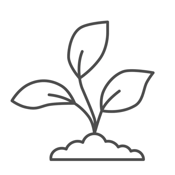 Les semis de jardin pousse dans une icône de ligne mince au sol, concept de la nature, les germes de plantes signe sur fond blanc, jeune croissance avec des feuilles icône dans le style de contour pour mobile, web design. Graphiques vectoriels . — Image vectorielle