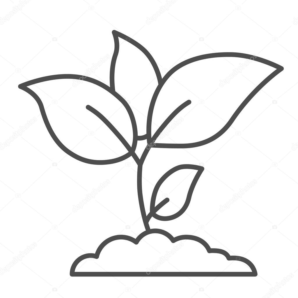 Plant sprouts thin line icon, agriculture concept, Young growth with leaves sign on white background, seedling icon in outline style for mobile concept and web design. Vector graphics.