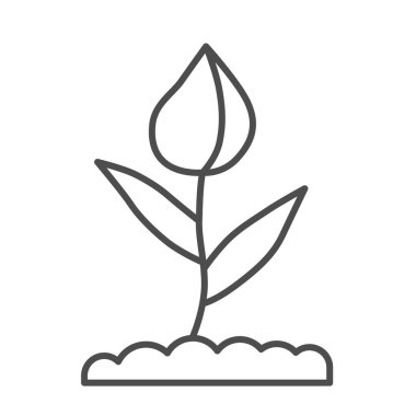 Çiçek tomurcuğu ince çizgi ikonu, çiçek kavramı, beyaz arka planda yapraklar olan kapalı lale tomurcuğu, mobil konsept ve web tasarımı için ana hatlı bahar çiçeği ikonu. Vektör grafikleri.