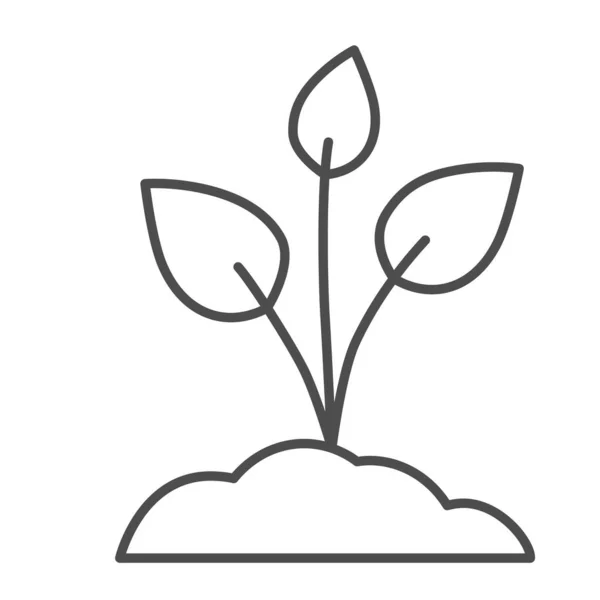 Sapling con tres hojas icono de línea delgada, concepto de la naturaleza, brote plantado en el signo del suelo sobre fondo blanco, icono de la planta joven en el estilo de esquema para el concepto móvil y el diseño web. Gráficos vectoriales . — Vector de stock