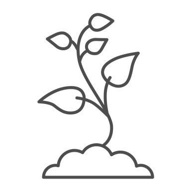 Birçok yaprak, ince çizgi ikonu, doğa konsepti, beyaz arka planda filizlenen tohumlar, mobil konsept ve web tasarımı için ana hatlar şeklinde toprak ikonu. Vektör grafikleri.