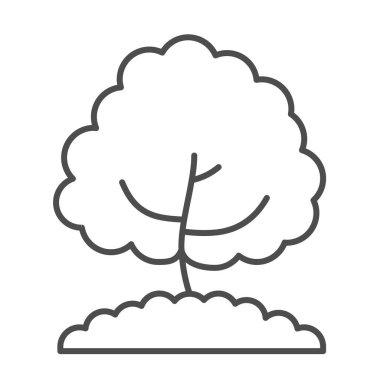 Ağaç ince çizgi ikonu, doğa konsepti, zemin tabelalarında büyüyen genç ağaç, mobil konsept ve web tasarımı için ana hatlı Oak siluet ikonu. Vektör grafikleri.