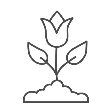 Lale ince çizgi ikonu, bahar çiçeği konsepti, beyaz arkaplanda yapraklar olan Lale tomurcuğu, gezici konsept ve web tasarımı için ana hatlı lale çiçeği ikonu. Vektör grafikleri.