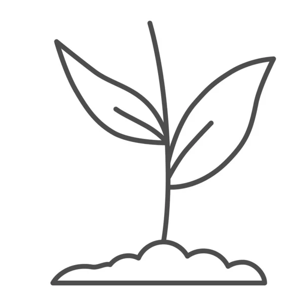 植物は地面に細い線のアイコンで成長し、自然コンセプト、白い背景に土のシンボルの植物の花は、モバイルとウェブのためのアウトラインスタイルで2つの葉のアイコンで発芽します。ベクトルグラフィックス. — ストックベクタ