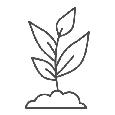 Genç büyüme ince çizgi ikonu, tarım kavramı, beyaz arka planda birçok yaprak işareti olan filizlenme, mobil konsept ve web tasarımı için ana hatlarda bitki ikonu yetiştirme. Vektör grafikleri.