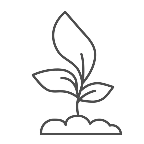 Ung fröplanta med tre blad tunn linje ikon, Jordbrukskoncept, groddar symbol på vit bakgrund, växande växt ikon i kontur stil för mobila koncept och webbdesign. Vektorgrafik. — Stock vektor