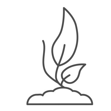 Zemin ince çizgi simgesinden filizlenen bitki, ekoloji konsepti, filizlenen filizlenen filizler beyaz arka planda, mobil ve web için taslak biçimli iki yaprak ikonu olan küçük filizlenme. Vektör grafikleri.