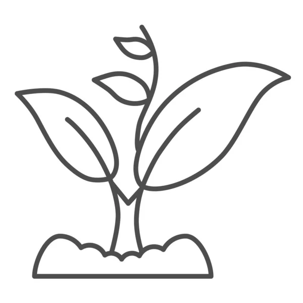 Sprout groeit met veel bladeren dunne lijn icoon, Tuinieren concept, Sprout symbool op witte achtergrond, groeiende plant icoon in outline stijl voor mobiele concept en web design. vectorgrafieken. — Stockvector