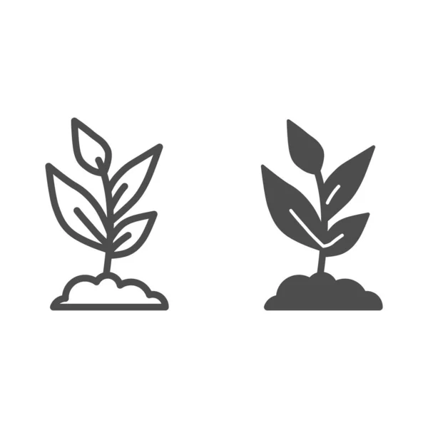 Jonge groeilijn en solide icoon, Landbouw concept, Sprout met veel bladeren teken op witte achtergrond, groeiende plant icoon in outline stijl voor mobiele concept en web design. vectorgrafieken. — Stockvector