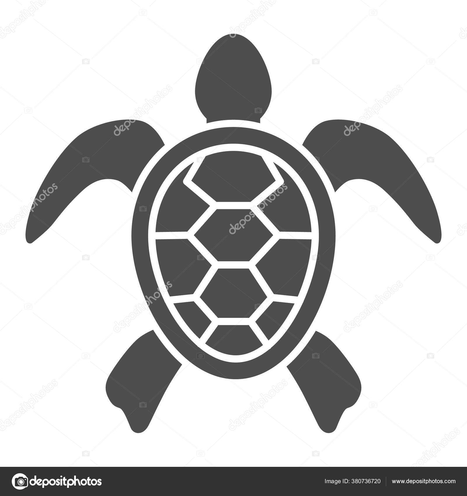 海龟固体图标，海洋动物概念，白色背景上的乌龟标志，龟轮廓图标，为移动概念和网页设计的色彩斑斓风格。矢量图形. 图库矢量图©sabustock  380736720